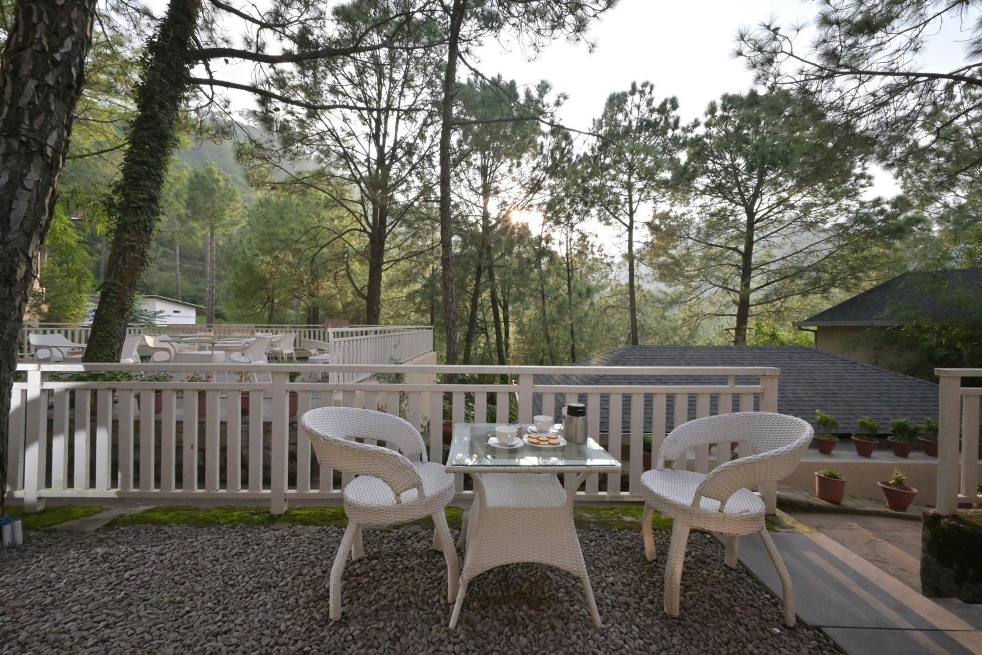 Jungle Lodge Resort Kasauli Room photo